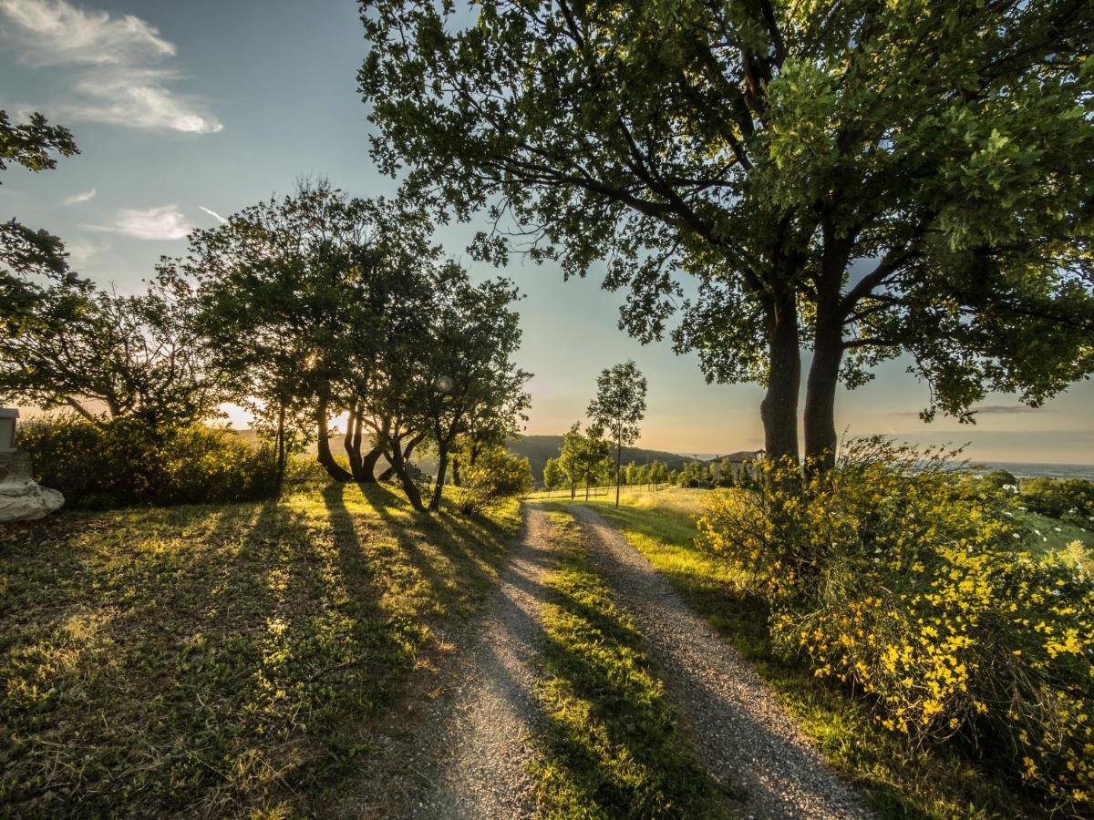 Parco Di Montebello Quattro Castella Екстер'єр фото